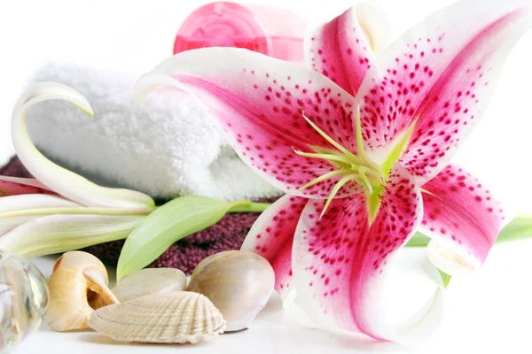 Spa Scene with Lilies — Stock Photo, Image