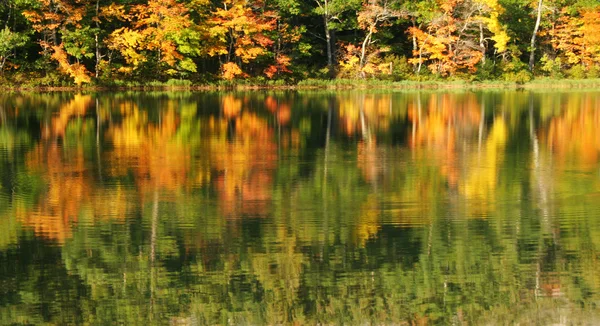 Höstens reflektioner — Stockfoto