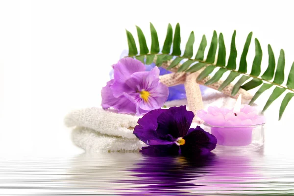 Spa Items Purple — Stock Photo, Image