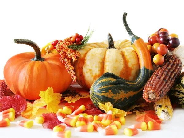 Fall Harvest — Stock Photo, Image