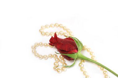 Rose ve inciler