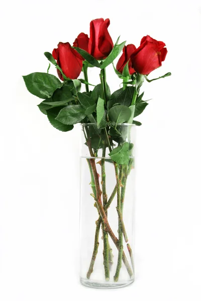 Wazon z różami — Zdjęcie stockowe