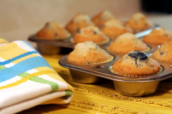 Muffins de mirtilo — Fotografia de Stock