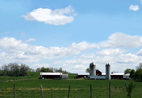 Farm — Stock Photo, Image