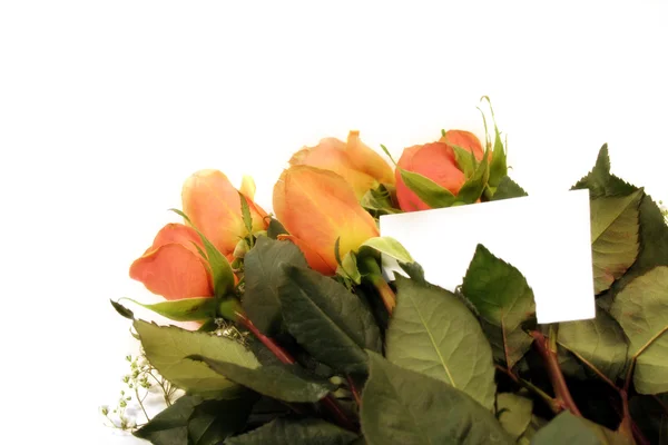 Presente de rosas — Fotografia de Stock