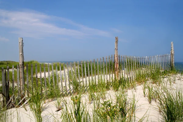 Dunes — Stock Photo, Image