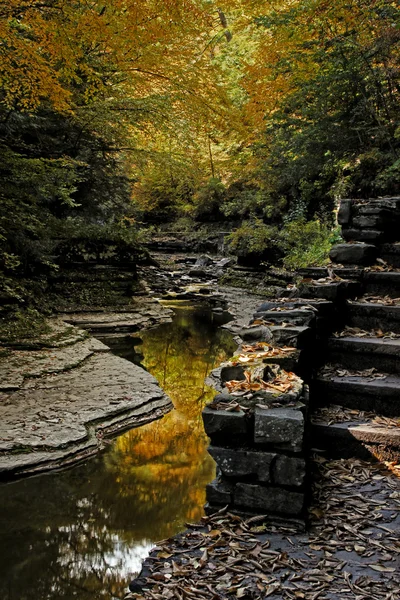 Reflexión de otoño — Foto de Stock