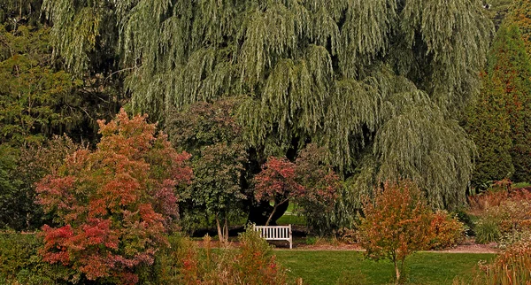 Höst park landskap — Stockfoto