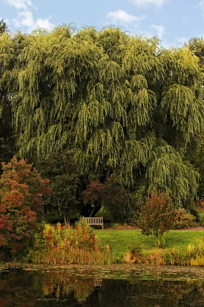 Sonbahar parkı manzarası — Stok fotoğraf