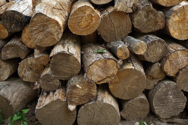 yığılmış günlükleri 