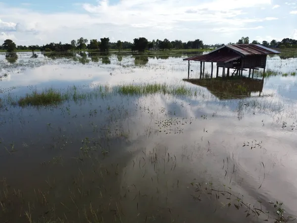 Häuser Von Dorfbewohnern Ländlichen Thailand Wurden Überflutet — Stockfoto