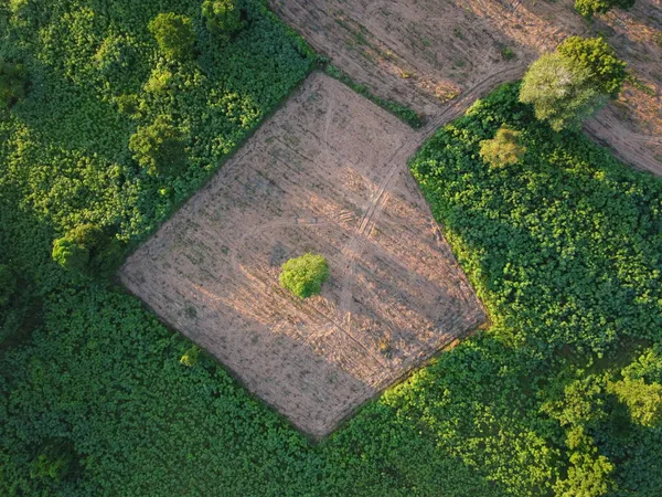 Аэрофотосъемка Зеленых Сельскохозяйственных Участков Пустыми Землями Ожидании Посадки — стоковое фото