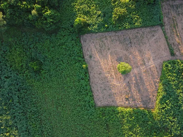Letecká Fotografie Zelených Zemědělských Pozemků Neobsazenou Půdou Čekající Výsadbu — Stock fotografie