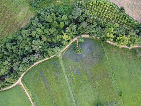 Аэрофотосъемка Зеленых Полей Дорог Каналов Покрытых Большими Деревьями — стоковое фото