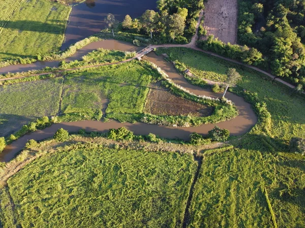 Strumienie Meander Obszarach Rolnych Porze Deszczowej Dużą Ilością Wody Zielone — Zdjęcie stockowe