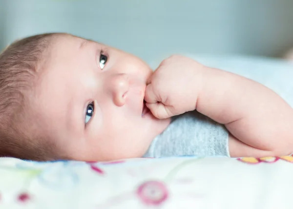 Cute newborn baby serie on grey — Stock Photo, Image