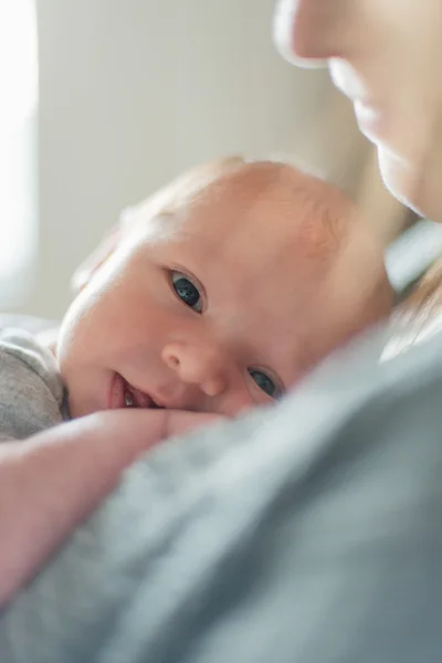 Schattige pasgeboren baby serie op grijs — Stockfoto