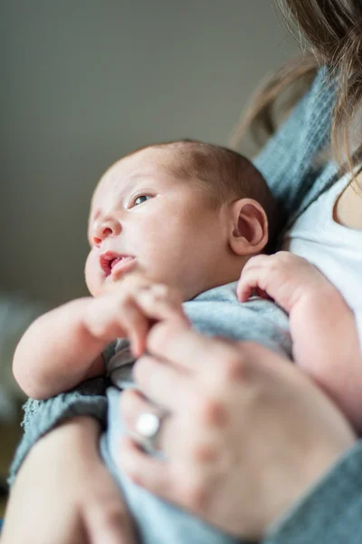 Schattige pasgeboren baby serie op grijs — Stockfoto