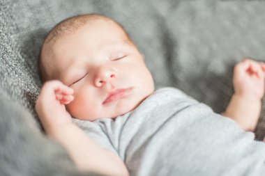 Şirin Bebek serie Grey