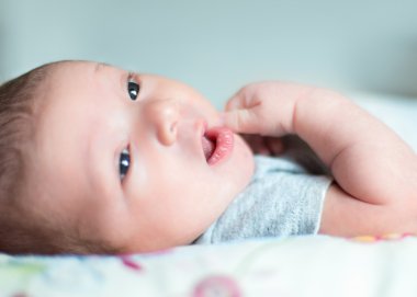Şirin Bebek serie Grey