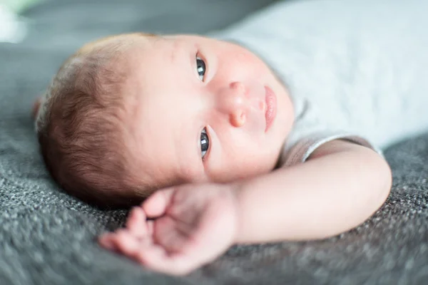 Söt newborn baby serie på grå — Stockfoto