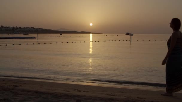 Silhouette de femme en robe marchant sur le bord de la mer au lever du soleil. Jeune femme sur la plage à l'aube. Promenade matinale sur la plage. — Video