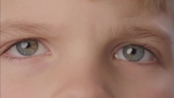 Primer plano de los niños ojos azules mirando a la cámara. Bastante niños ojos azules cerrando en la cámara. — Vídeos de Stock