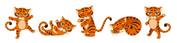 Çin Yeni Yılı 2022 kaplan yılı. Beyaz arka planda çizgi filmlerde farklı pozlarda şirin kaplanlar. Çocuk kıyafetleri, tebrik kartları, afişler, posterler tasarlamaya uygun. Vektör illüstrasyonu.