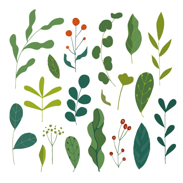 Набор Красивых Ярких Весенне Летних Цветочных Элементов Зеленые Листья Ягоды — стоковый вектор