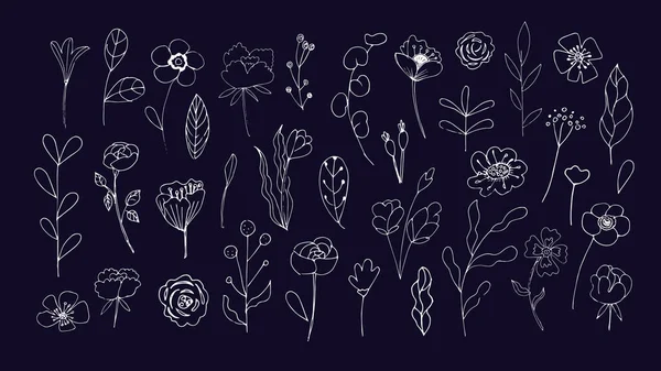 Çiçekler, yapraklar, böğürtlenler. Düğün posteri için, 8 Mart Kadınlar Günü ve Sevgililer Günü, çocuklar için tatil. Vektör illüstrasyonu.