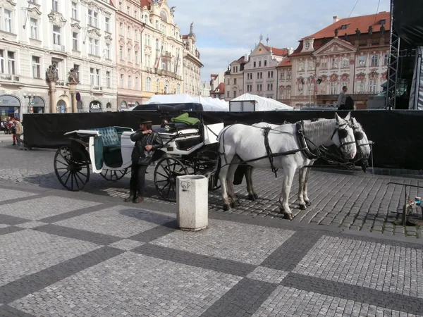 Turizm sokaklarda Prag, Çek Cumhuriyeti (2013-10-21) — Stok fotoğraf