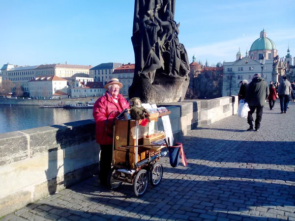 Organist on Charles Bridge, Prague, Czech Republic (2013-12-16) — Stock Photo, Image