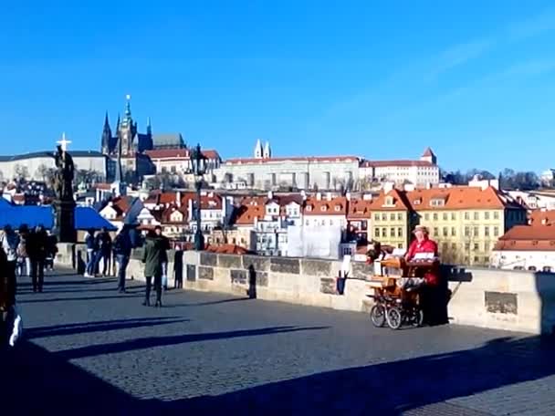 Organista sul Ponte Carlo, Praga, Repubblica Ceca (16 / 12 / 2013 ) — Video Stock