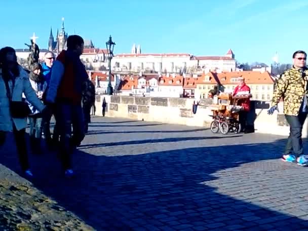 Org charles bridge, prague, Çek Cumhuriyeti (2013-12-16 tarihinde) — Stok video