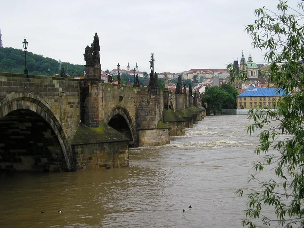 Povodně 2013 - Karlova mostu 4, Praha, Česká republika (2013-06-03) — Stock fotografie