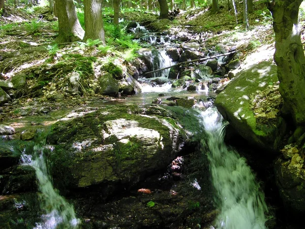 Ruisseau à Mezibori, République tchèque (2013-05-19 ) — Photo