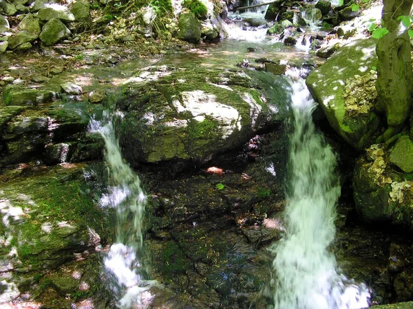 Creek em Mezibori, República Checa (2013-05-19 ) — Fotografia de Stock