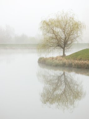 Foggy pond clipart