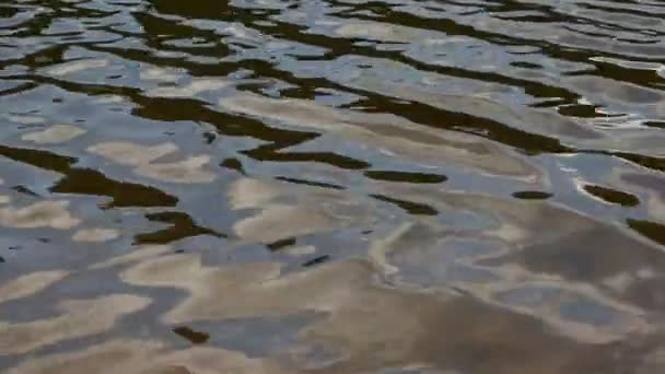 Vagues sur la surface de l'eau de l'étang 