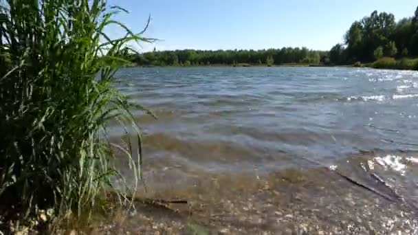 Olas en el estanque — Vídeo de stock