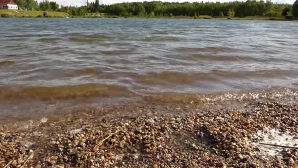 Vagues sur l'étang 