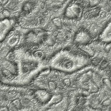 yabancı cilt Dikişsiz üretilen organik doku işe alır.