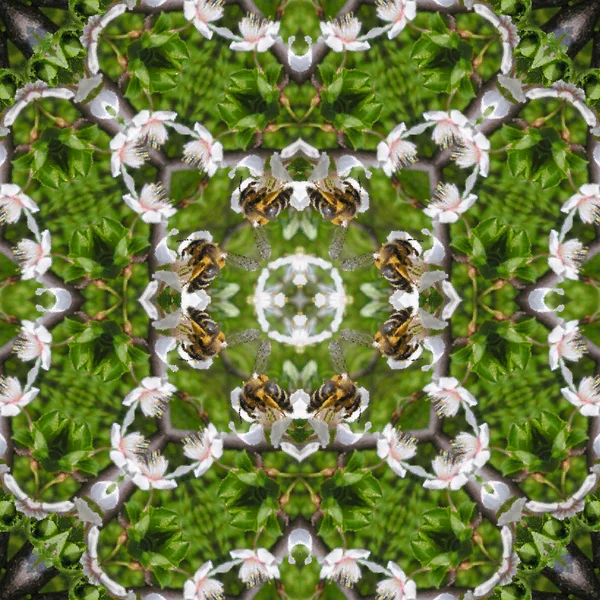 Kalejdoskopie Pszczoła na kwiat mozaika bezszwowe generowane tekstury — Zdjęcie stockowe
