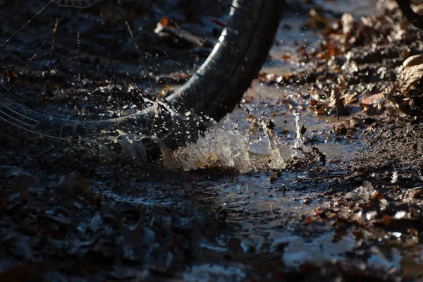 cyclocross race with mud, passion, power and will