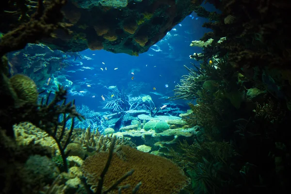 Utsikt över havet — Stockfoto