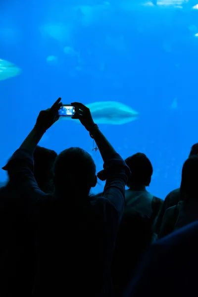 Person taking a photograph — Stock Photo, Image