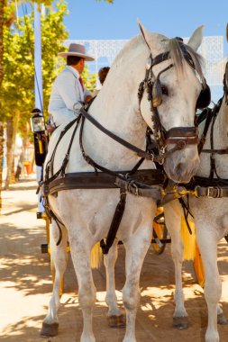 bir satır başı ile at.