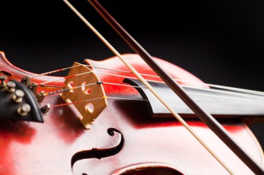 Vintage keman ayrıntı. Makro.