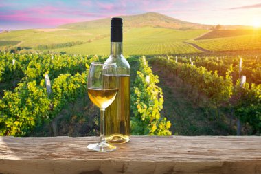 Gün batımında çekilmiş bir üzüm bağının geniş panoramik görüntüsü.