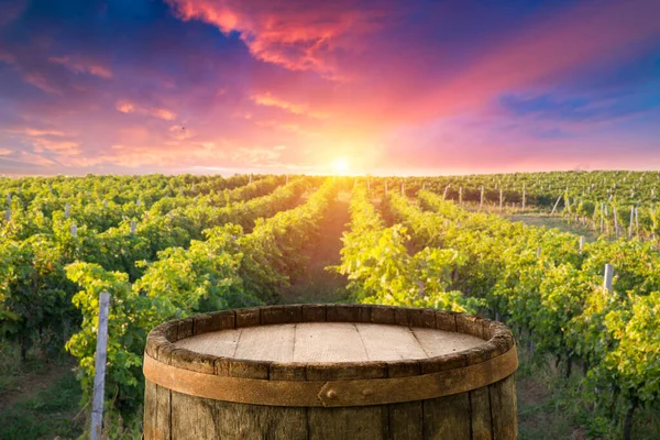 Vinho Tinto Com Barril Vinha Toscana Verde Itália — Fotografia de Stock